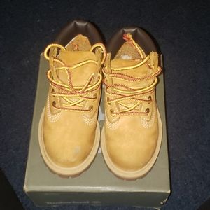 Boys Waterproof Timberland boot